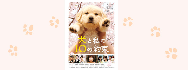 映画 やっぱり犬が好き 犬と私の１０の約束 Hachi 約束の犬 響 サインコサイン波ノヒビキ