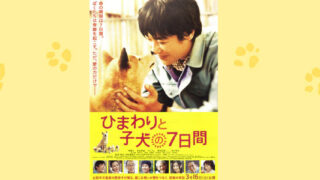 映画 盲導犬について考える クイール 響 サインコサイン波ノヒビキ