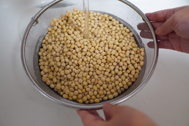 味噌手作りセットの大豆を洗う