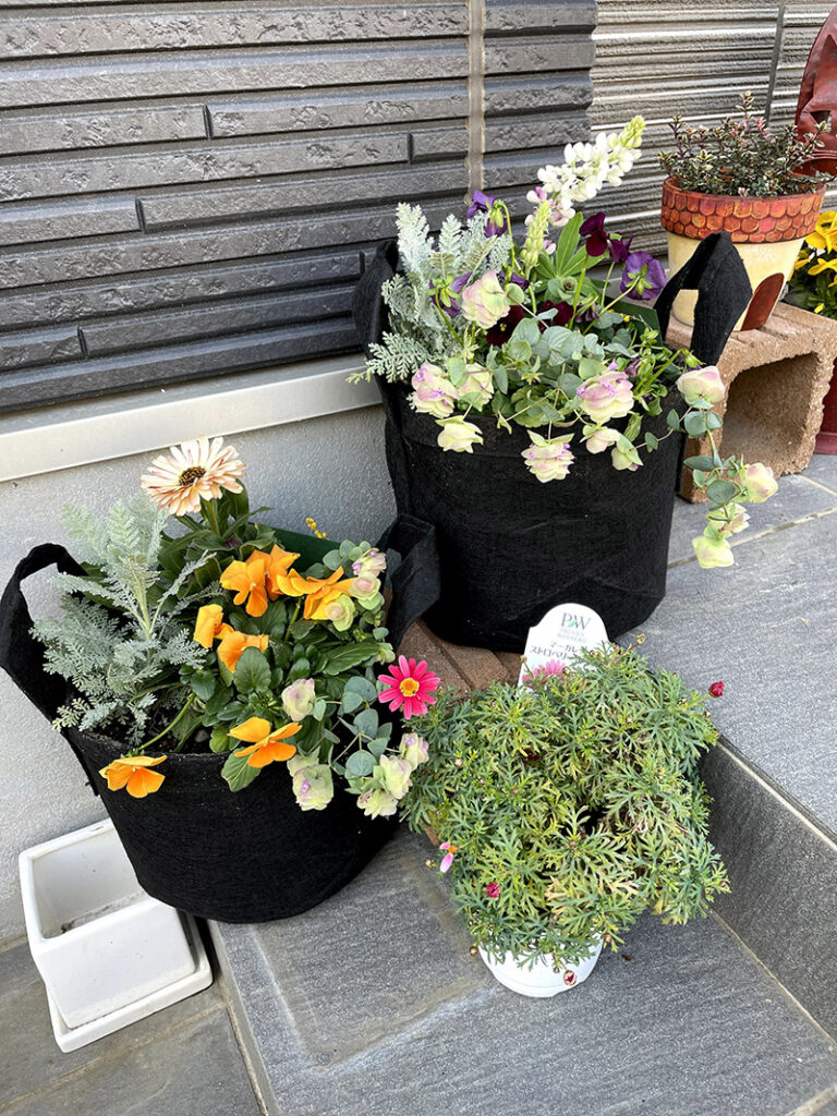 寄せ植え