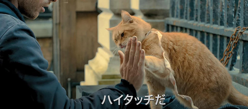 映画『ボブという名の猫-幸せのハイタッチ-』の感想