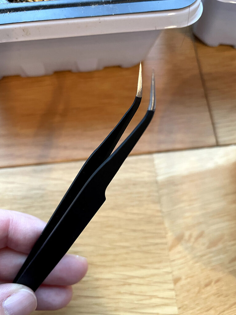 ピンセット