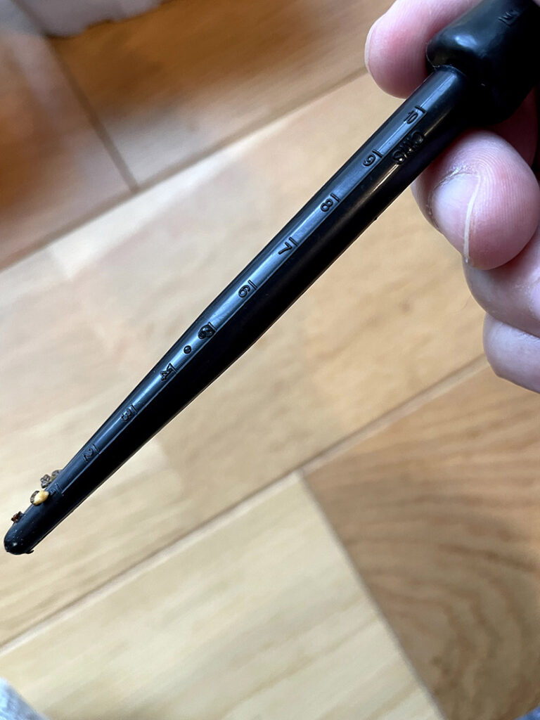 育苗セットの道具